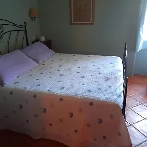 gli-ulivi-bed-breakfast.it-tuscanyhotel.com/
